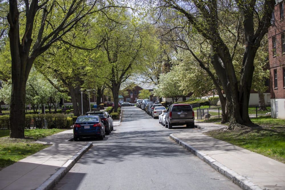 Boston Housing Authority's Mary Ellen McCormack housing development in South Boston. (Jesse Costa/WBUR)