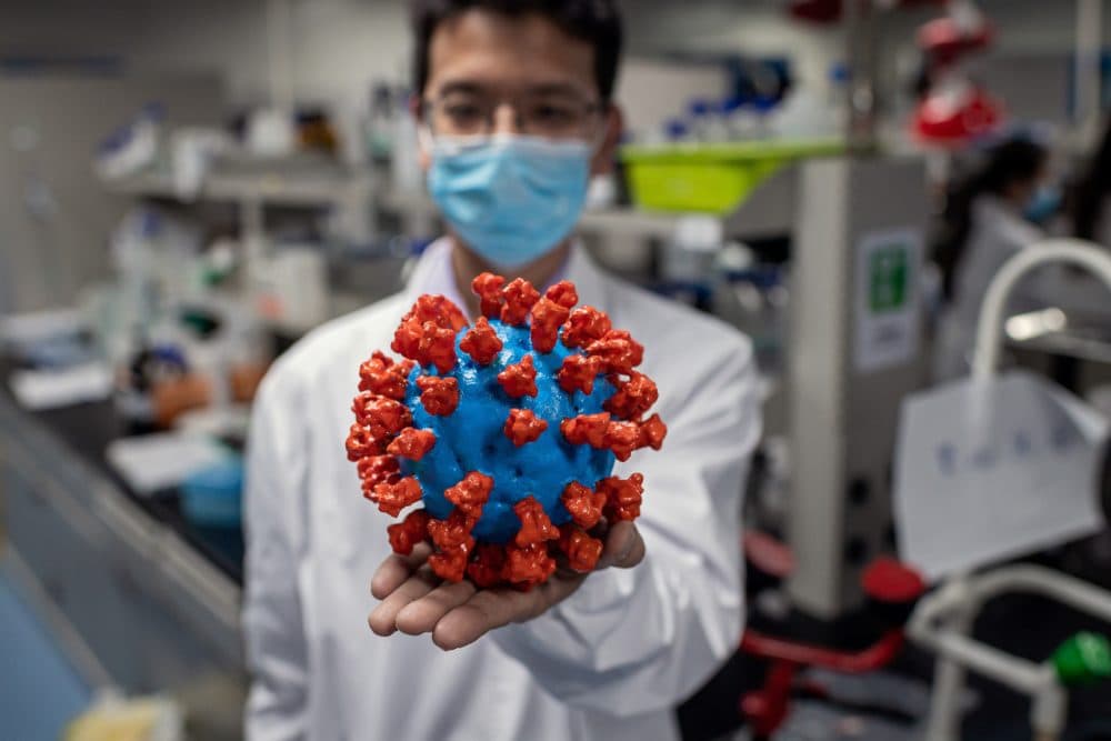 In this picture taken on April 29, 2020, an engineer shows a plastic model of the COVID-19 coronavirus at the Quality Control Laboratory at the Sinovac Biotech facilities in Beijing.(NICOLAS ASFOURI/AFP via Getty Images)