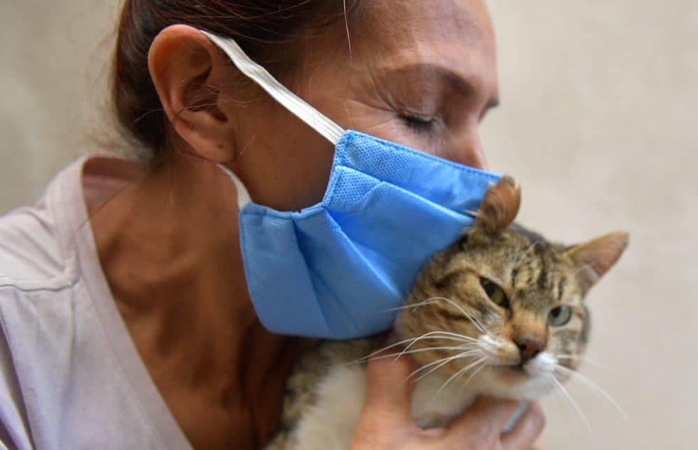 A woman kisses a rescue cat in Ciudad Bolivar neighborhood, southern Bogota, on May 2, 2020. (Raul Arboleda/AFP/Getty Images)