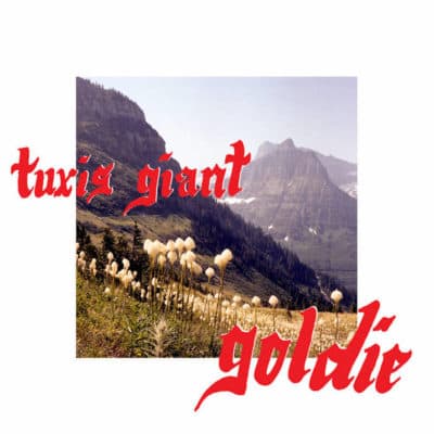 The cover of Tuxis Giant's new album "Goldie." (Courtesy )