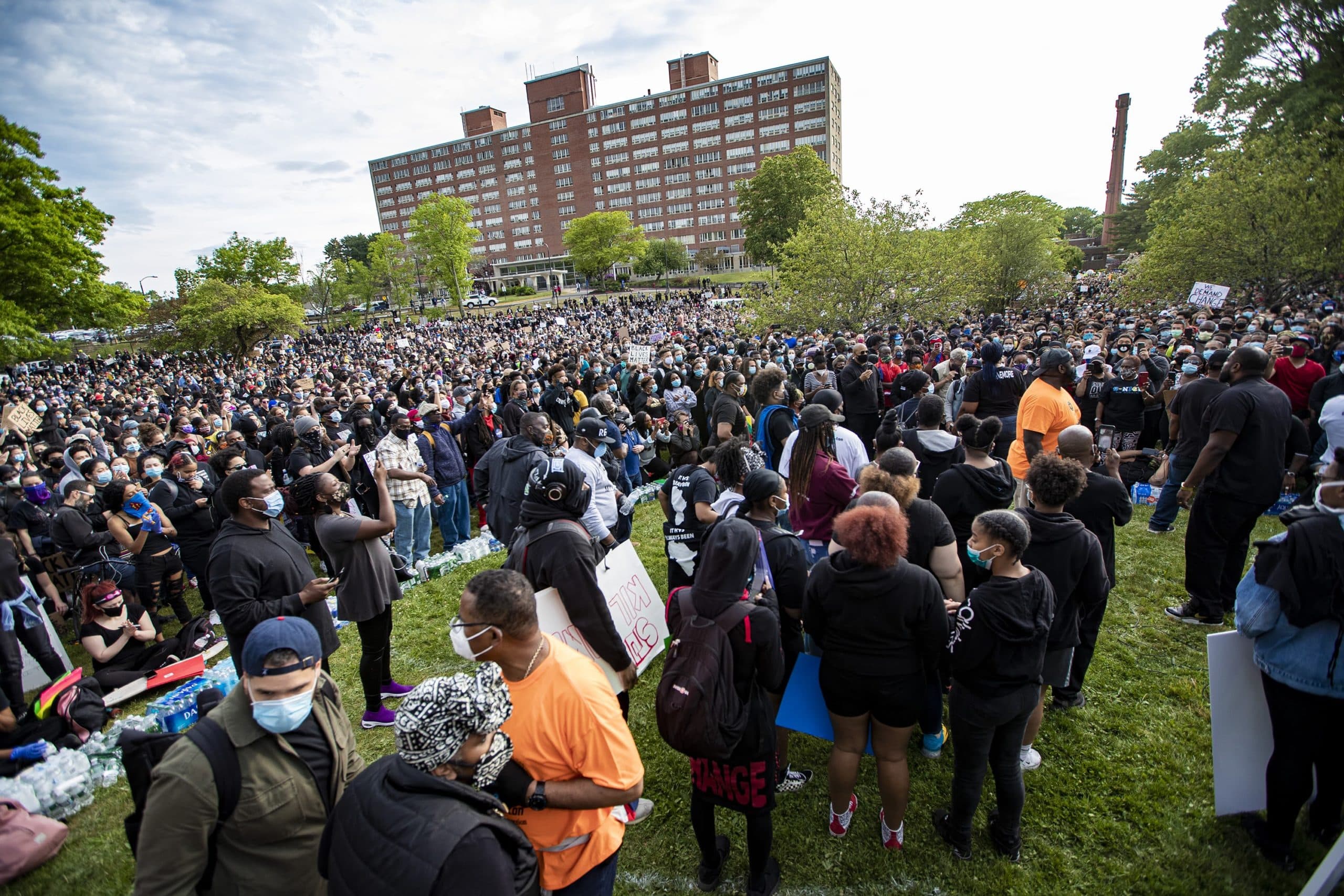 Thousands of protesters gathered in the Shattuck Picnic Grove in Franklin Park during a vigil to honor George Floyd and rally against police violence on June 2, 2020. (Jesse Costa/WBUR)