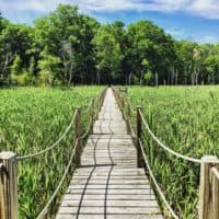 Ward Reservation in Andover (Patrick Cheetham for Bay Circuit Trail)