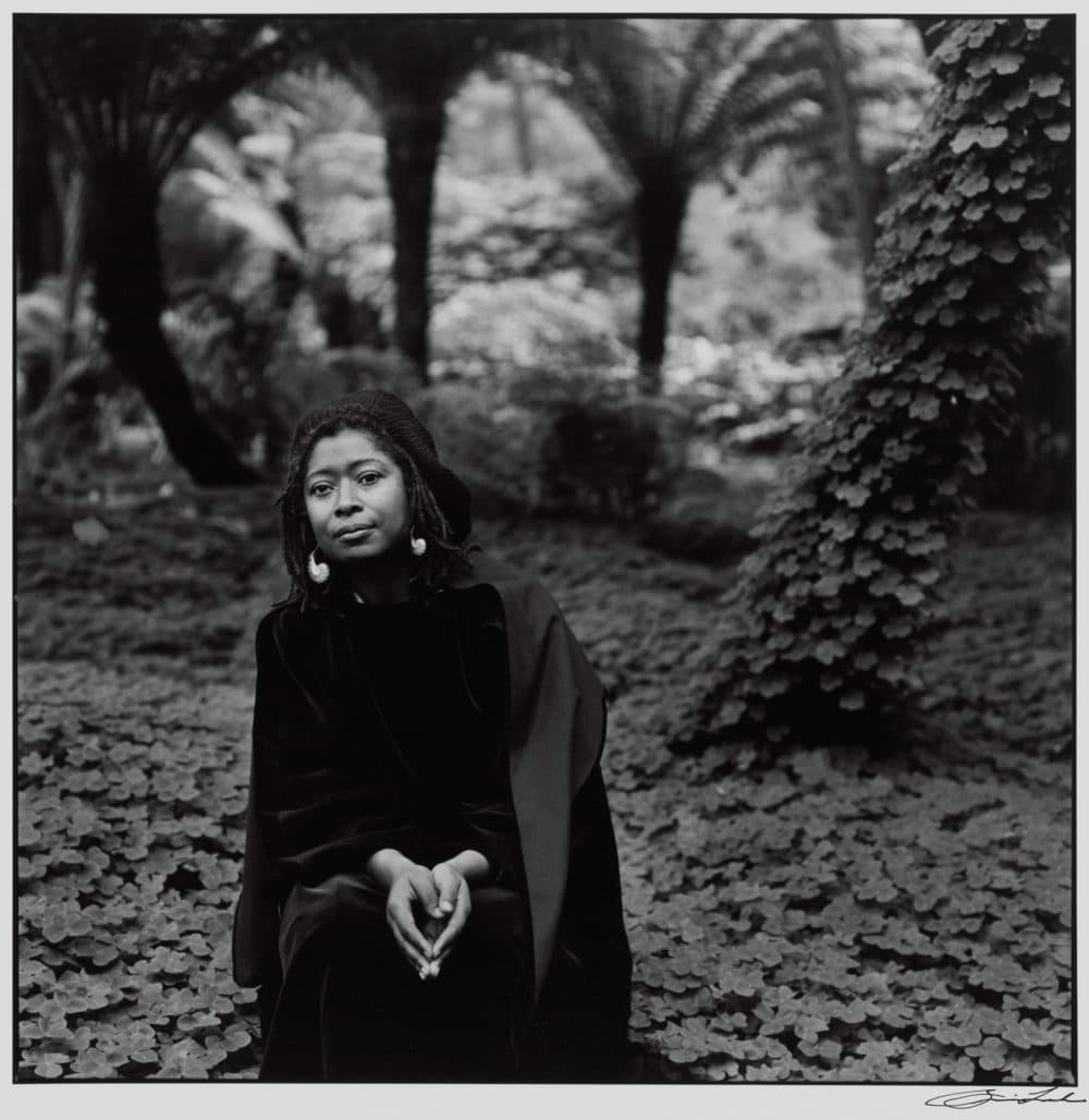 Brian Lanker, "Alice Walker," from "I Dream a World," 1987-88. (Courtesy Harvard Art Museums/Fogg Museum, Schneider/Erdman Printer's Proof Collection)