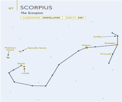 Scorpius from "100 Things to See in the Night Sky, Expanded Edition." (Courtesy)