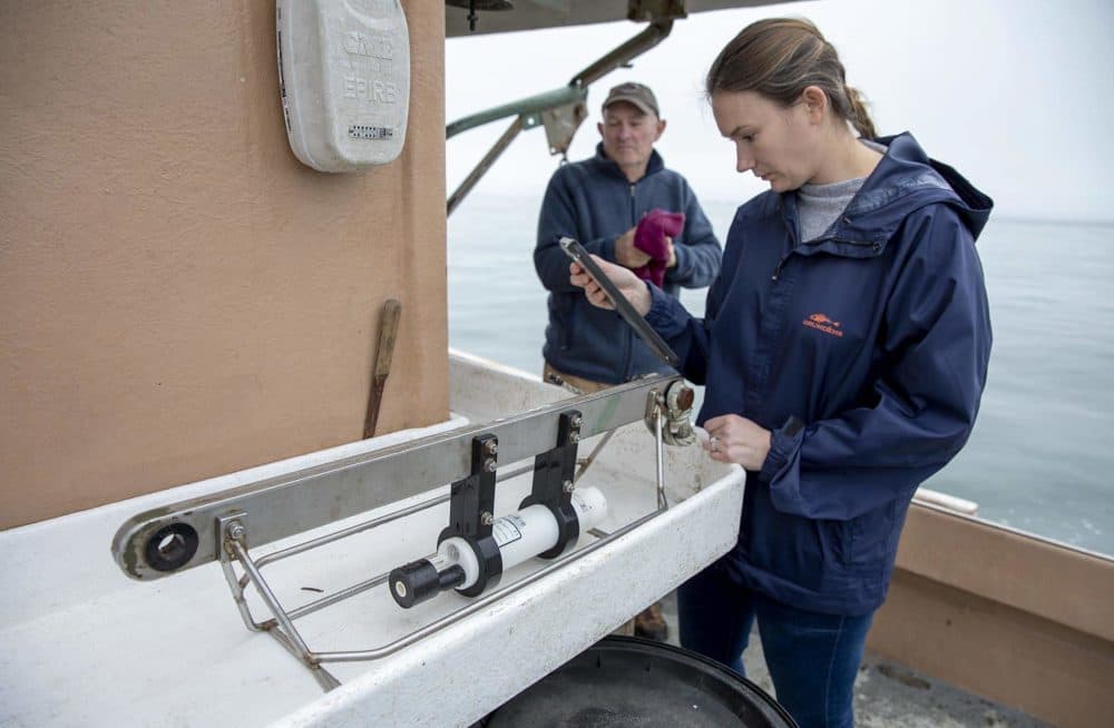 Researcher Aubrey Ellertson examines data from a test drop of the Connectivity, Temperature and Depth sled. (Robin Lubbock/WBUR)