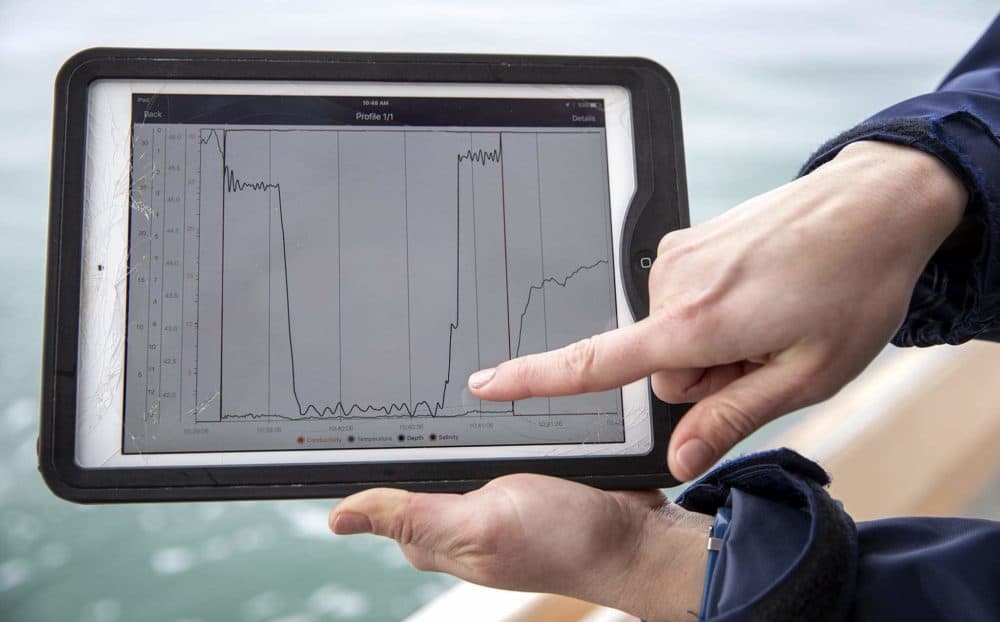 Close-up of data from the Connectivity Temperature and Depth sled. (Robin Lubbock/WBUR)