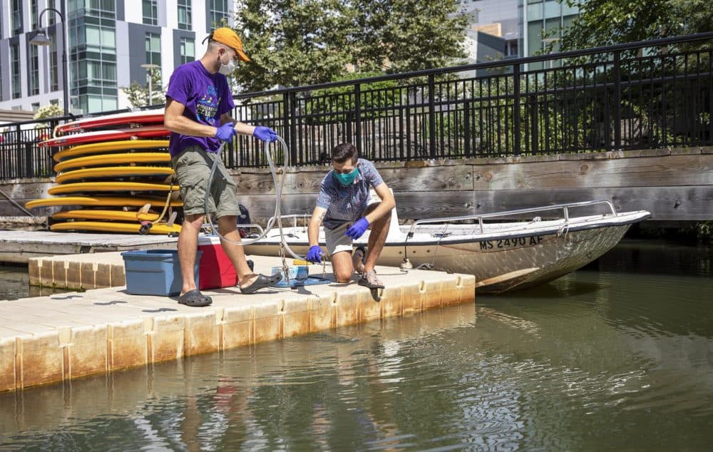 Charles River Watershed Association interns Christopher LaRosee and Andrew Taylor take a sample of the Charles River at Broad Canal in Cambridge. (Robin Lubbock/WBUR)