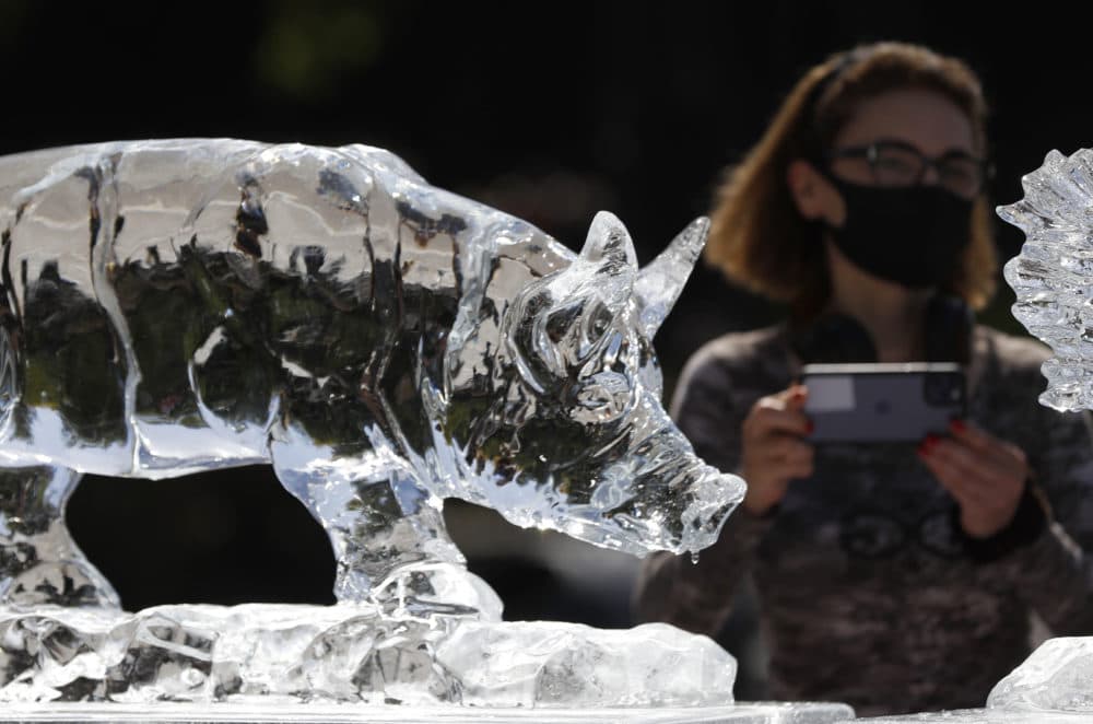 A woman takes a photo of the animal rights group PETA's ice sculptures in the shape of farm animals with a placard that says "Meat = Heat," Aug. 7, 2020. (Alastair Grant/AP)
