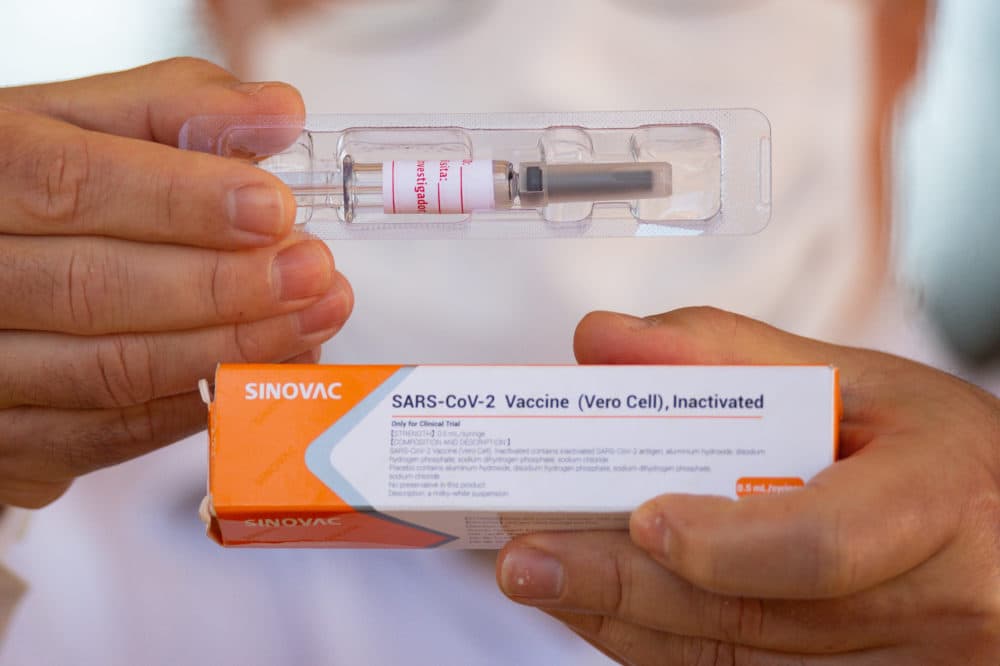 A professor at the University of Brasilia and coordinating doctor for tests of the Sinovac Biotech vaccine, shows the vaccine to journalists amidst the coronavirus pandemic on Aug. 5, 2020 in Brazil. (Andressa Anholete/Getty Images)