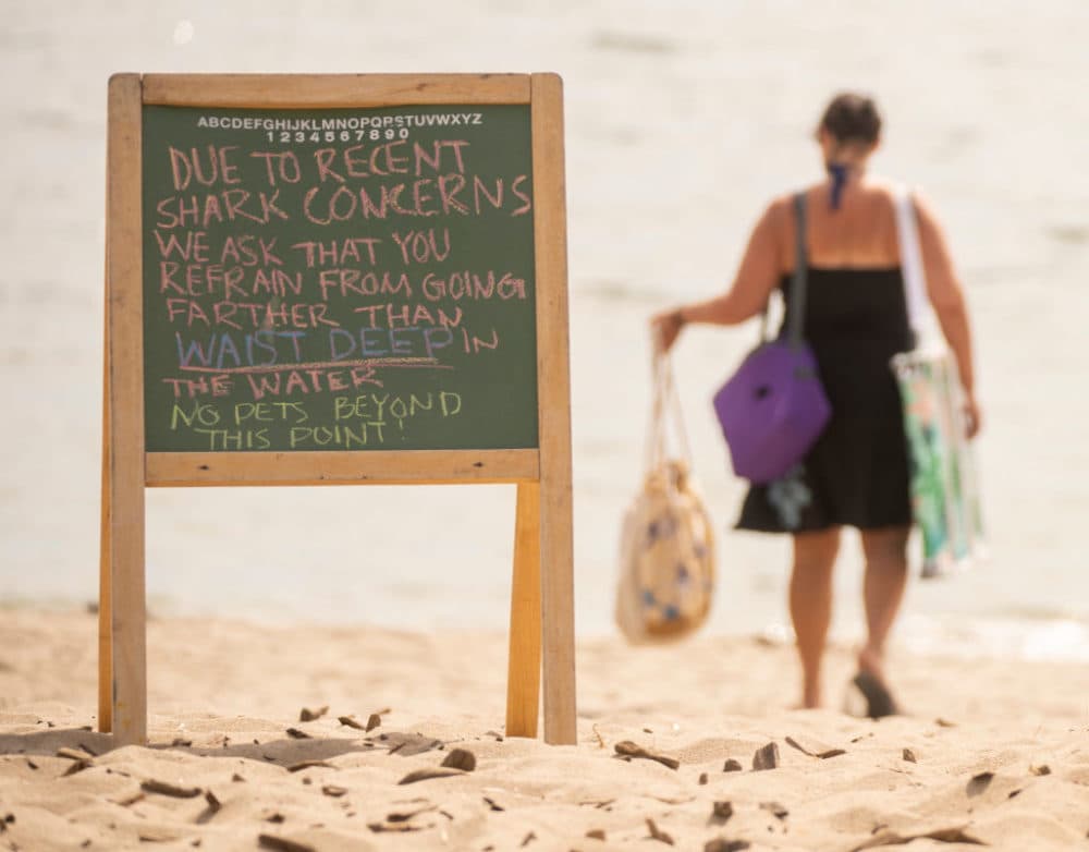 Beachgoers are greeted with a shark warning sign at the end of the boardwalk at Ferry Beach State Park in Saco, Maine on Aug. 2, 2020. (Carl D. Walsh/Portland Press Herald via Getty Images)
