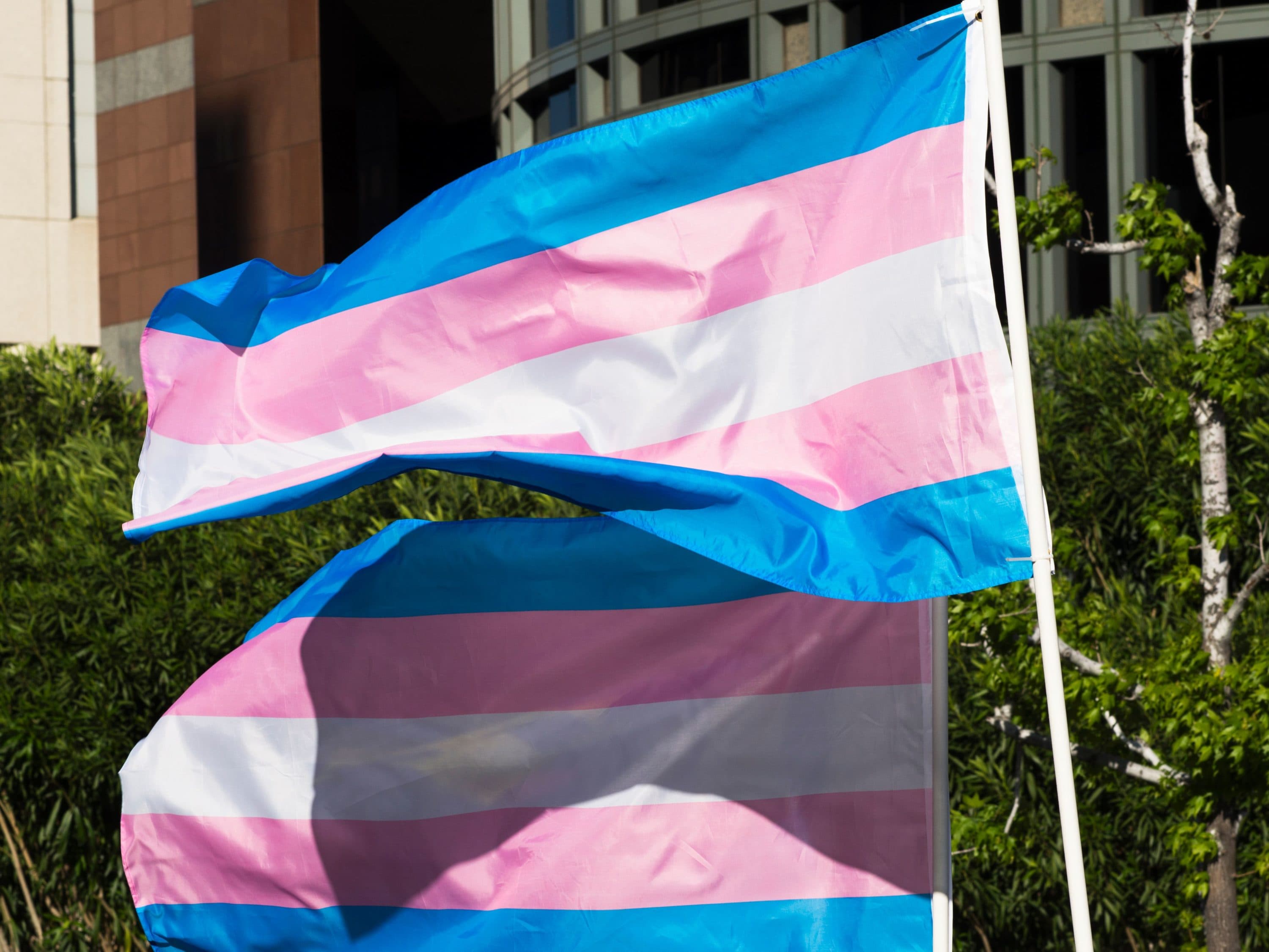 Flag trans What is