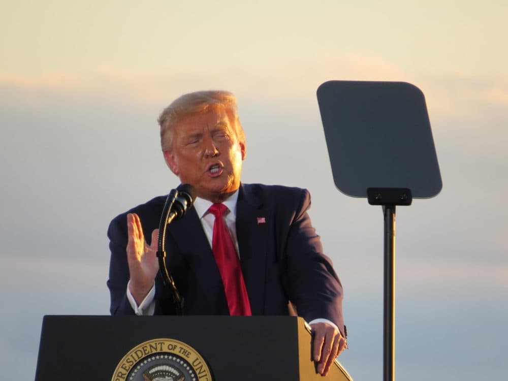 President Donald Trump speaks to a crowd of supporters at Manchester-Boston Regional Airport, Friday, Aug. 28, 2020.(Dan Tuohy/NHPR)