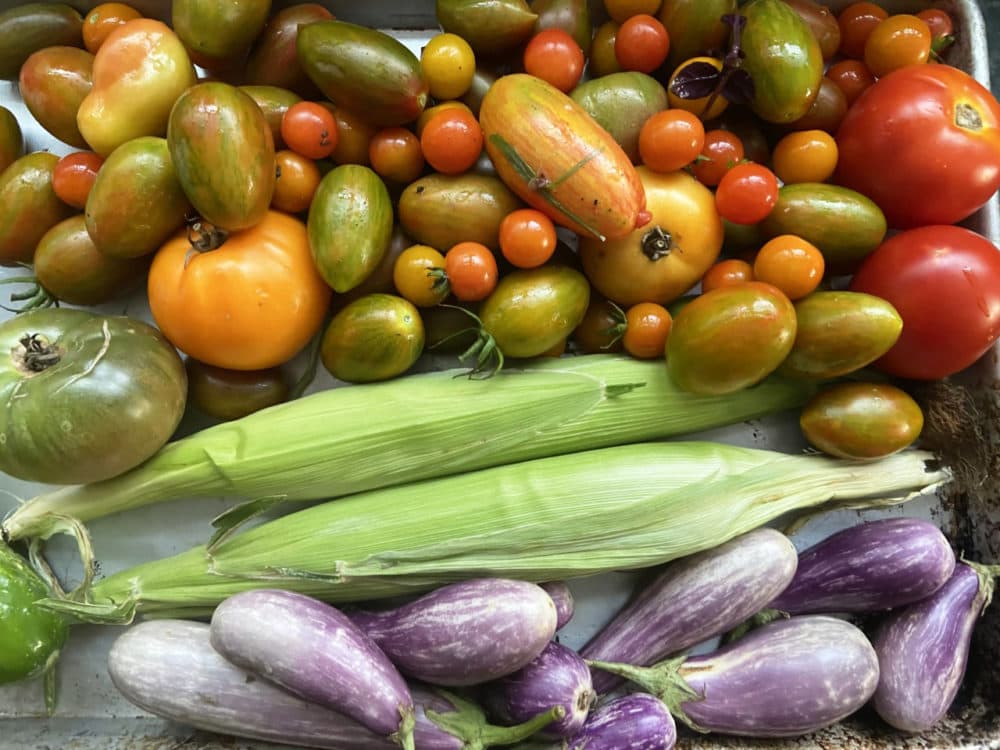 Vegetables harvested from Kathy Gunst's garden. (Kathy Gunst/Here & Now)