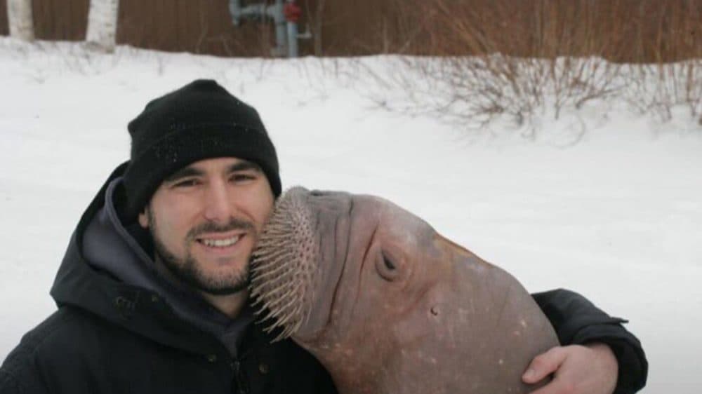 Phil Demers is the subject of the documentary "Walrus Whisperer." (Courtesy Newburyport Documentary Film Festival)