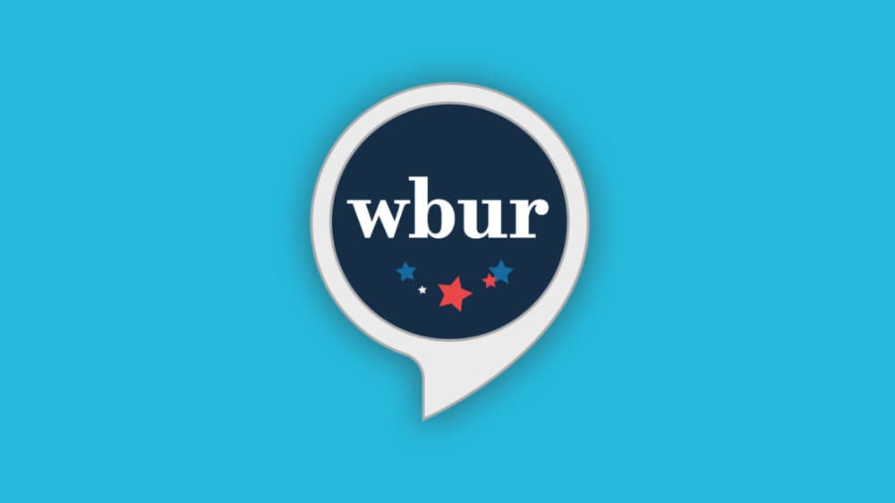 "Mass. Ballot Guide" brings WBUR's explanatory election coverage to a new platform: voice. (Illustration by Jack Mitchell/WBUR)