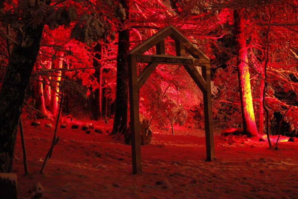 Spooky lighting for Halloween in Rocky Woods. (Jenn Stanley/WBUR)