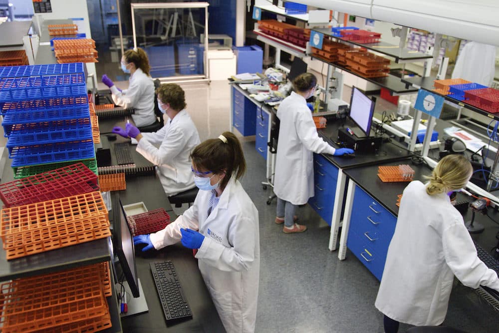 Staffers at the Broad Institute process coronavirus tests at 320 Charles St. in Cambridge. (Courtesy Scott Sassone/Broad Institute) 