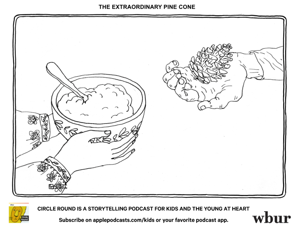 ("The Extraordinary Pine Cone" by Sabina Hahn)