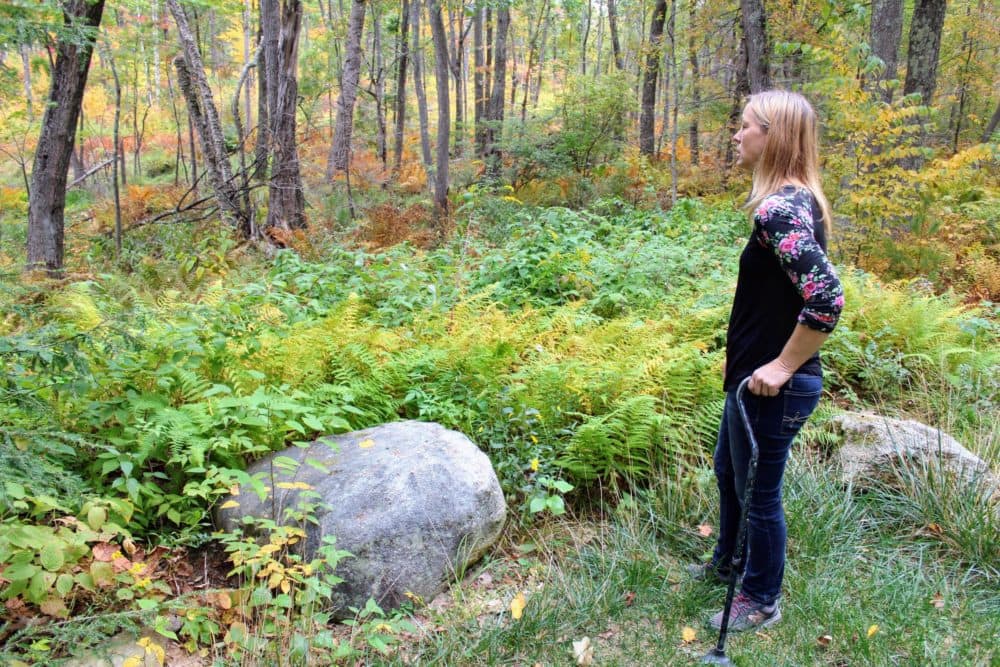 Jen Kippin has never seen the wetlands behind her home in Hooksett, New Hampshire, this dry. She says it means her well is running low too. (Annie Ropeik/NHPR)
