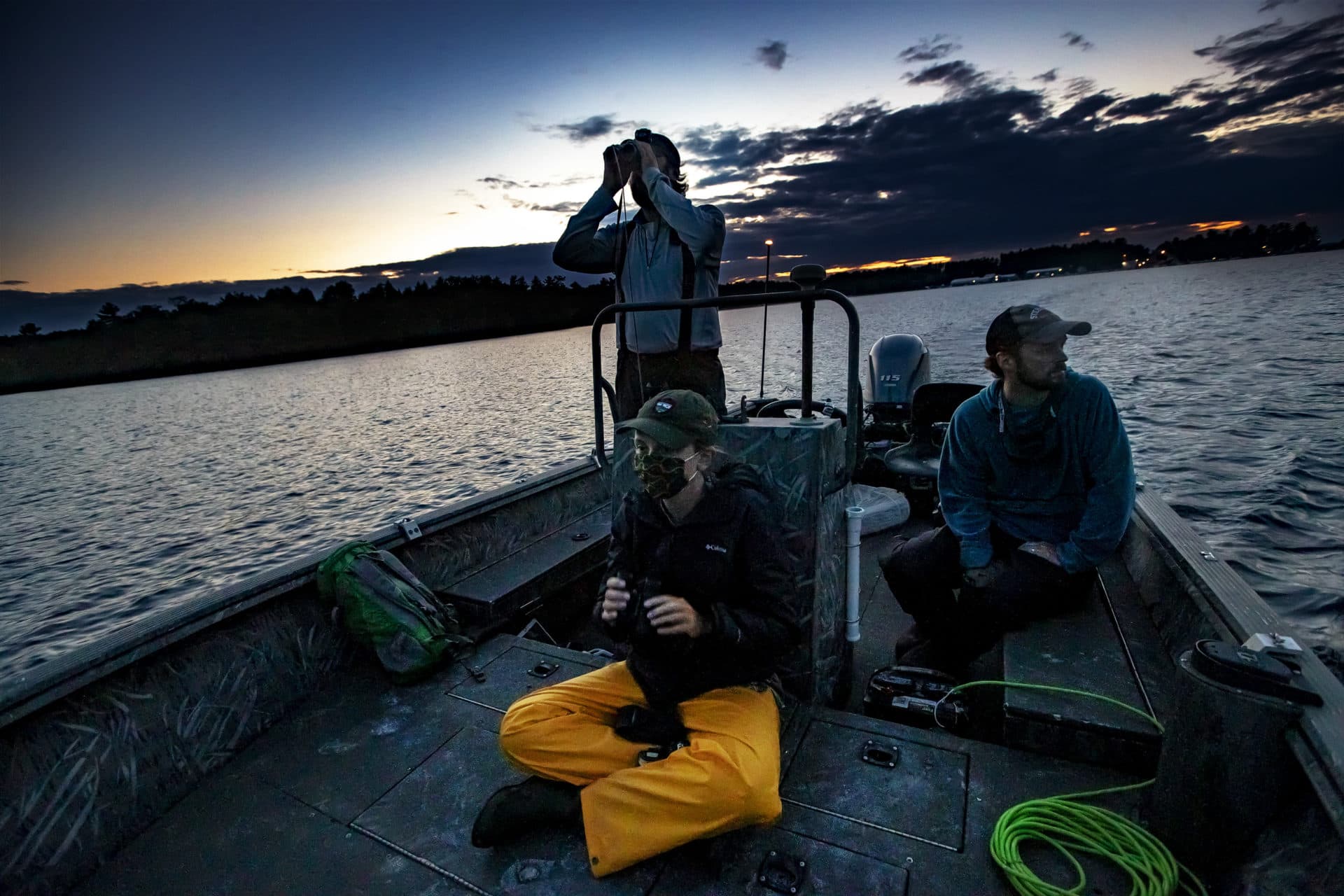 From left to right, Chris Persico, Helen Yurek and Mark Burton search for a loon chick on Sebago Lake in Maine. (Jesse Costa/WBUR)