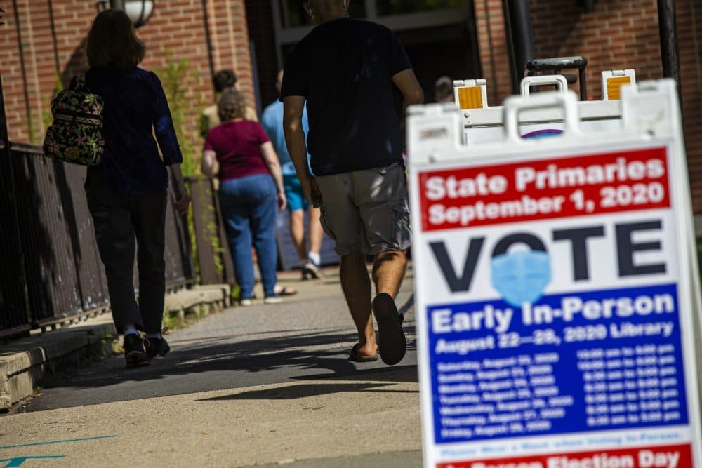 Voters line up outside of the Newton Free Library on the final day of early voting for the Massachusetts Primary in the 4th congressional district. (Jesse Costa/WBUR)