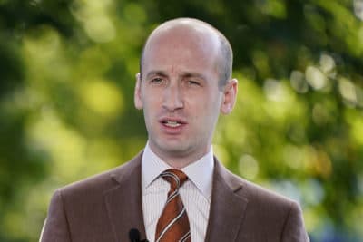 White House senior adviser Stephen Miller speaks during a television interview outside the White House in Washington, D.C. (Patrick Semansky/ AP, File)