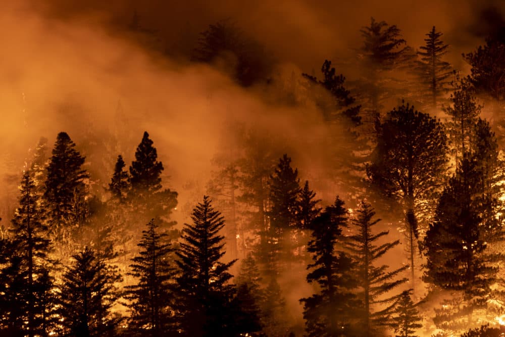 The Bobcat Fire burns through the Angeles National Forest on Sept. 11, 2020 north of Monrovia, California. (David McNew/Getty Images)