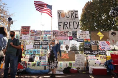 A supporter of U.S. President-elect Joe Biden and his running mate Vice President-elect Kamala Harris poses for a selfie near the security fence that surrounded the White House November 08, 2020 in Washington, DC. (Chip Somodevilla/Getty Images)