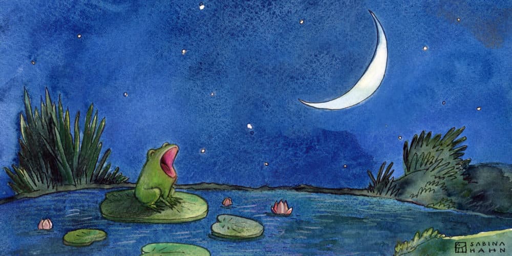 ("Little Frog’s Big Voice" by Sabina Hahn)