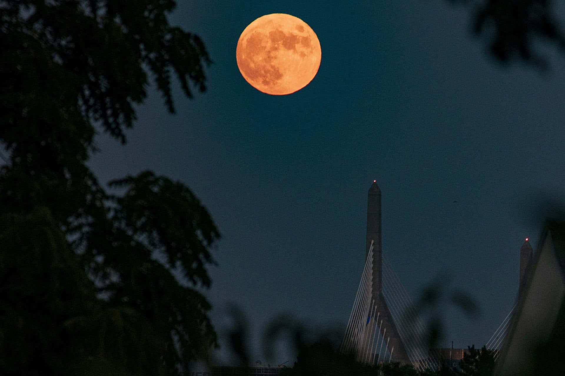 (Jesse Costa/WBUR)