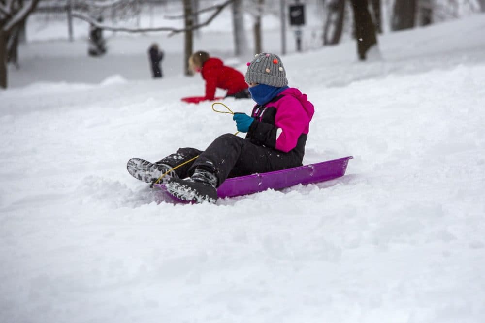 Sledders make their way down a hill on Boston Common on Thursday. (Robin Lubbock/WBUR)