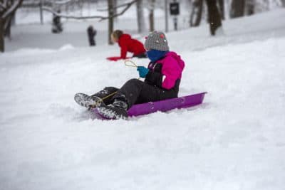 Sledders make their way down a hill on Boston Common on Thursday. (Robin Lubbock/WBUR)