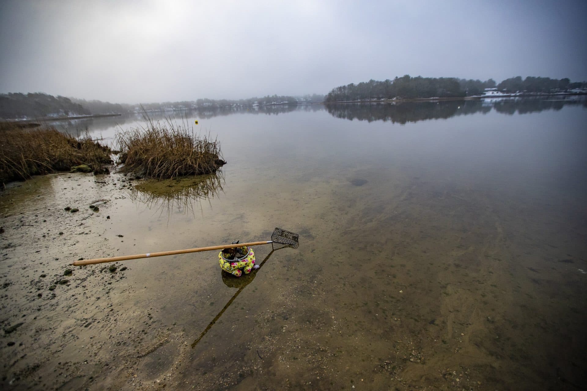 A oyster rake and basket sit on the edge of Little Buttermilk Bay on a misty morning. (Jesse Costa/WBUR)