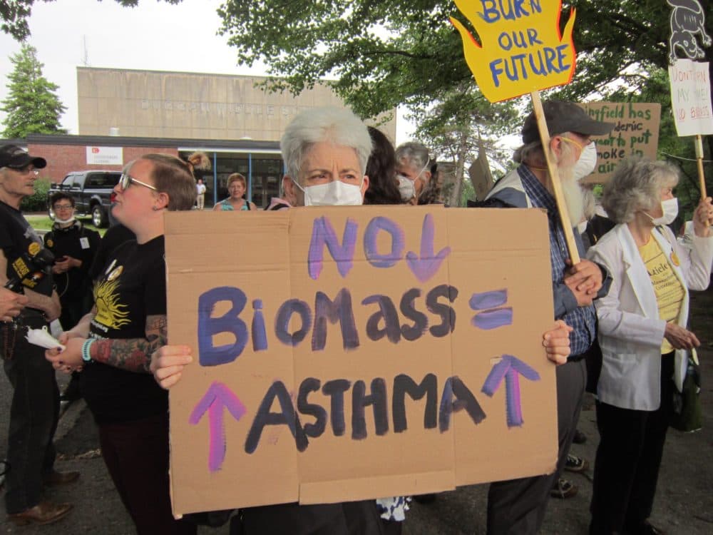 A 2019 protest in Springfield against the Palmer Plant. (Courtesy of Arise for Social Justice.)