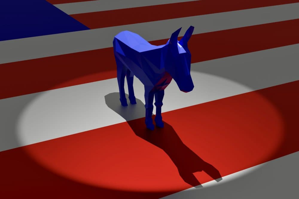 After 2020's election turned out not to be a banner year for Democrats as expected, the party is grappling with its messaging. (Getty)