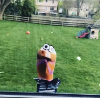One sock, in the sock puppet production of "Dear Evan Hansen." (Courtesy)
