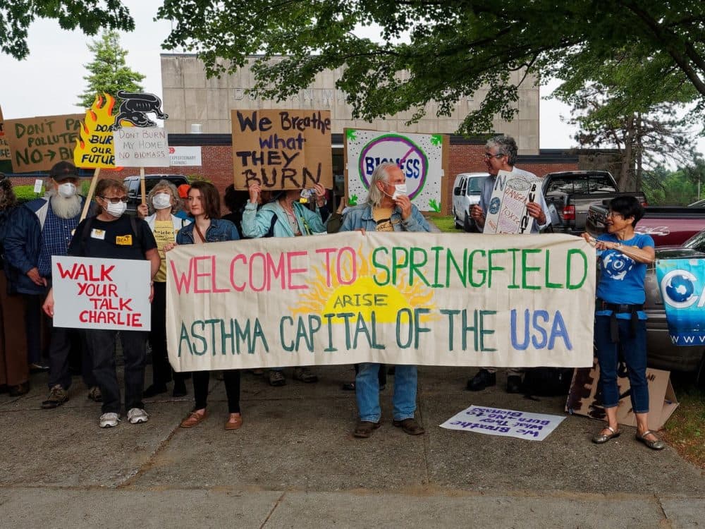 A 2019 protest in Springfield against the Palmer Plant. (Courtesy of  Rene Theberge)