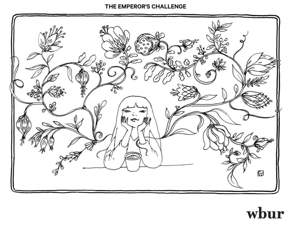 ("The Emperor's Challenge" by Sabina Hahn)