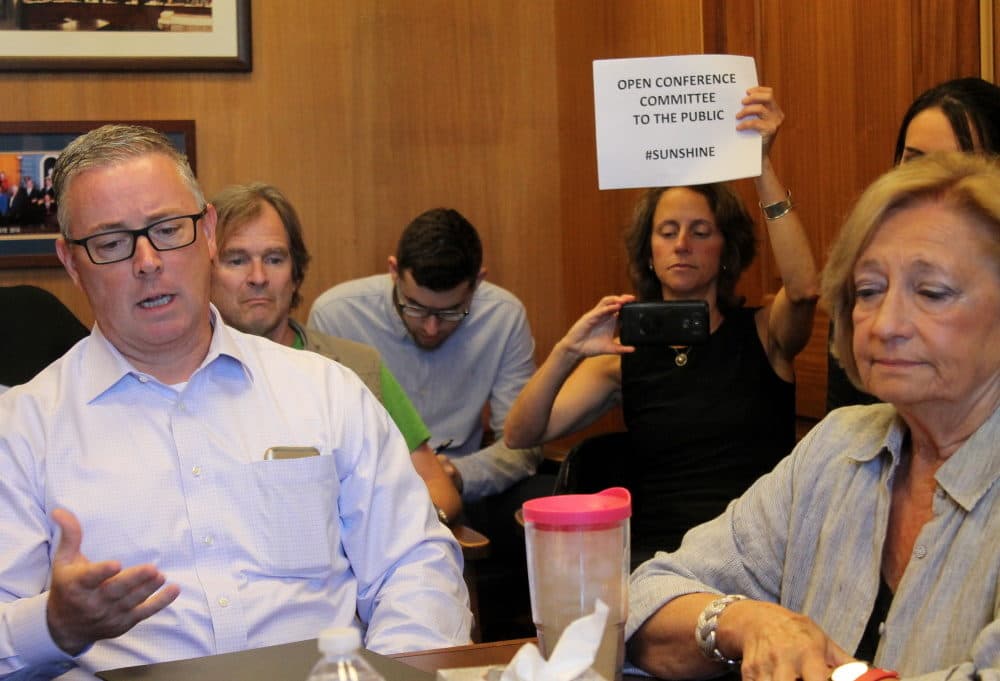 Emily Norton, then-director of the Sierra Club Massachusetts Chapter, held up a sign July 19, 2018 promoting "sunshine" and calling for members of a clean energy conference committee, including Reps. Thomas Golden and Patricia Haddad (foreground), to keep their talks open to the public rather than entering executive session. (Sam Doran/SHNS File)