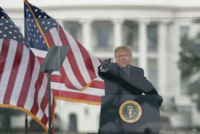 President Trump speaks during a rally protesting the electoral college certification of Joe Biden as president on Wednesday, Jan. 6, 2021, in Washington, D.C. (Evan Vucci/AP)