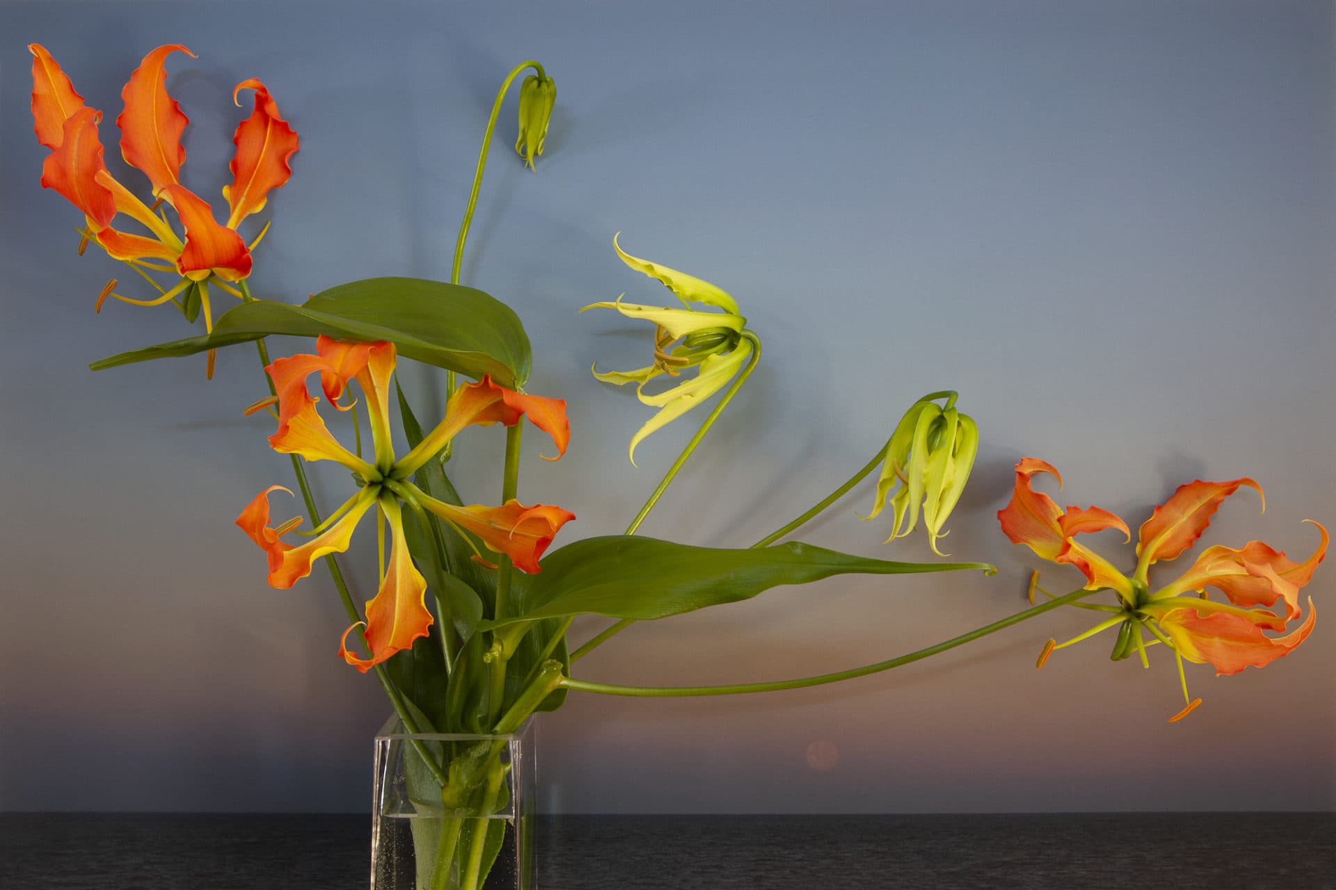 Vaughn Sills, "Japanese Lilies, Moon Setting over Northumberland Strait," 2020. (Courtesy the artist)