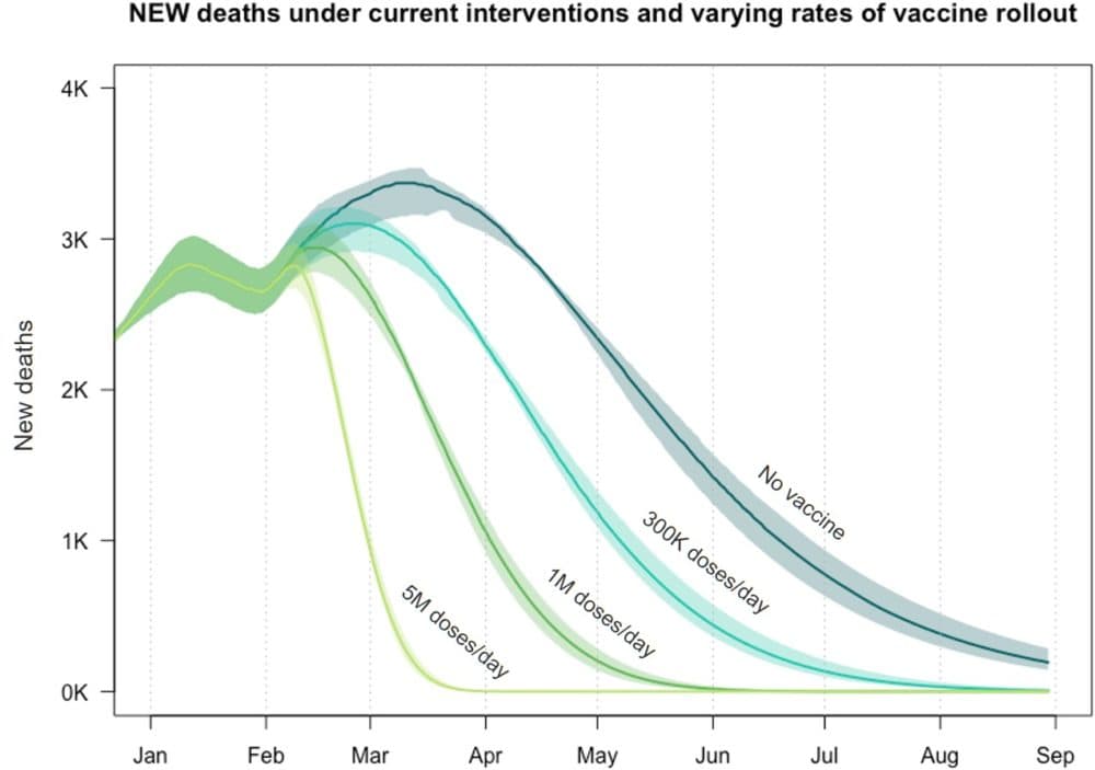 Epidemiologists from Massachusetts General Hospital, Boston University and Georgia Tech modeled the effect vaccines will have on COVID-19 deaths based on how quickly vaccines roll out. They found that faster is better. (Courtesy Dr. Ben Linas)
