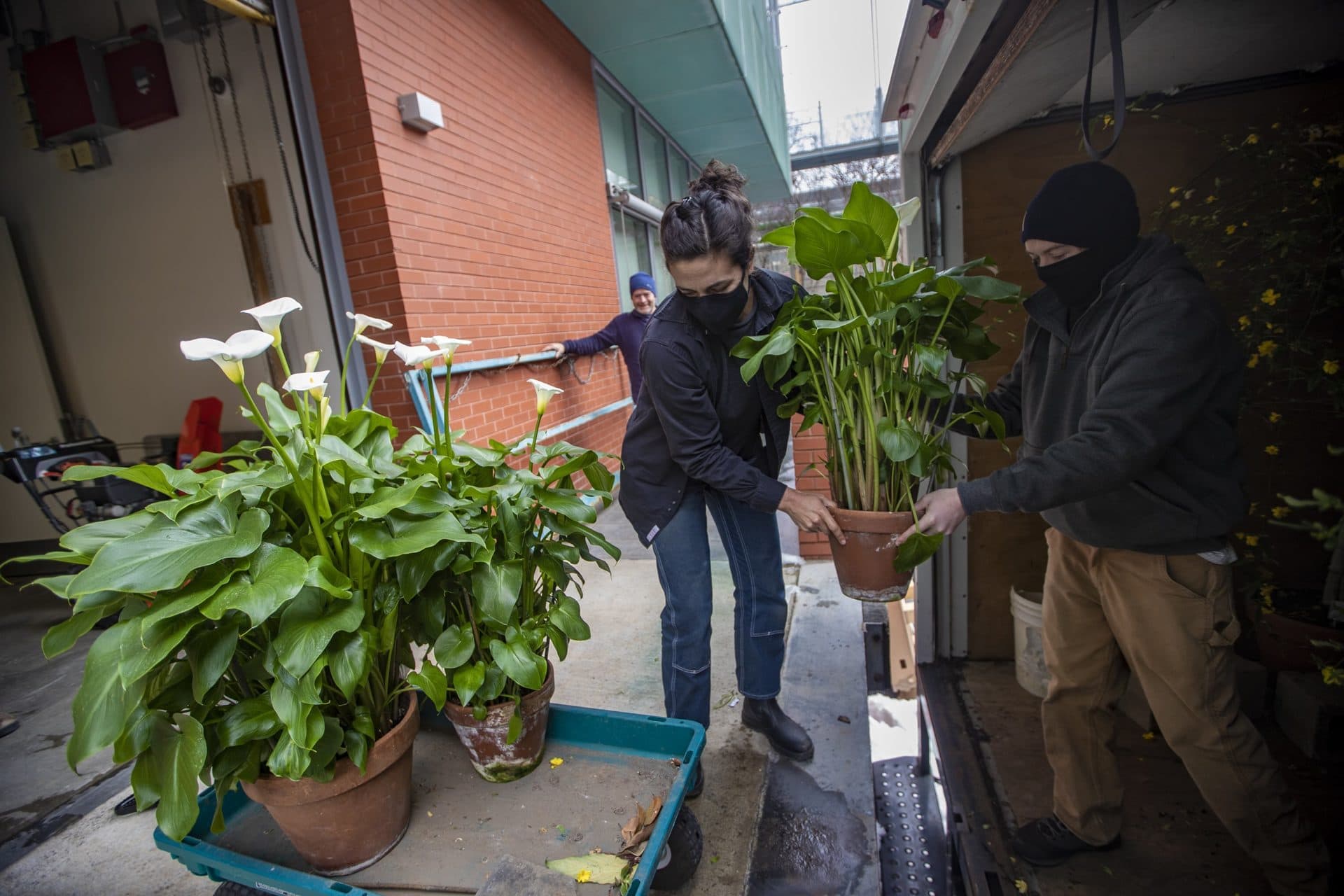 Director of horticulture Erika Rumbley (left) with Corey Roche (right) of the Roche Company in Braintree. (Jesse Costa/WBUR)