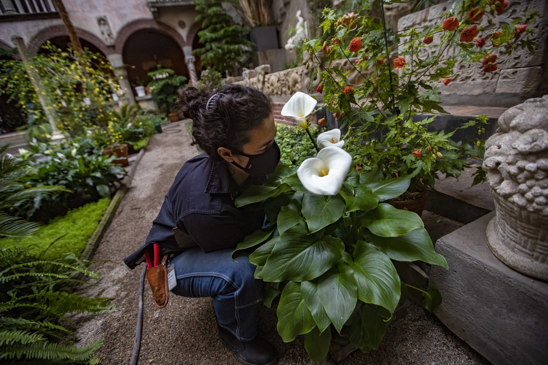 Gardner Museum director of horticulture Erika Rumbley. (Jesse Costa/WBUR)