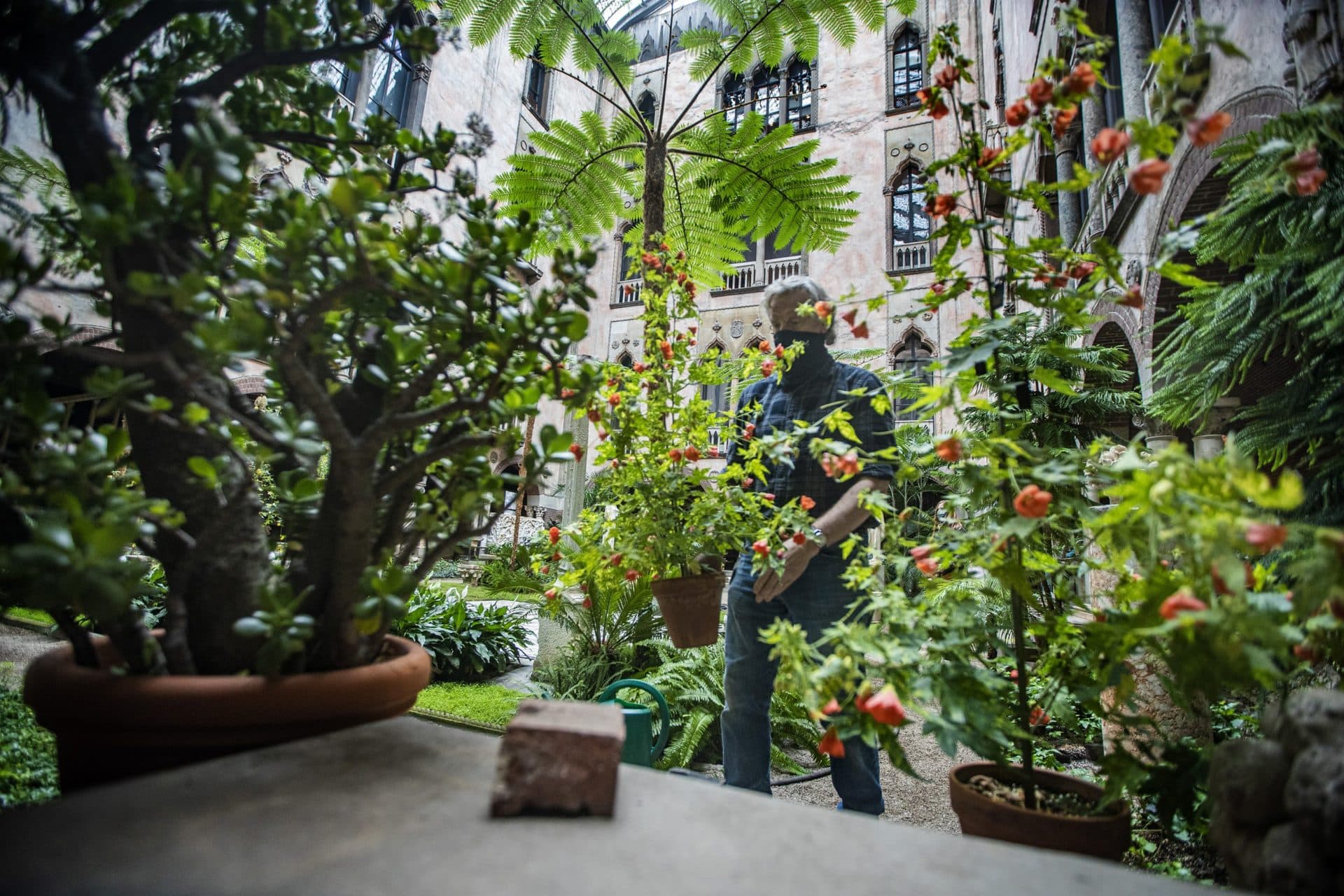 Guy Parry is a horticulturalist at the Gardner Museum. (Jesse Costa/WBUR)