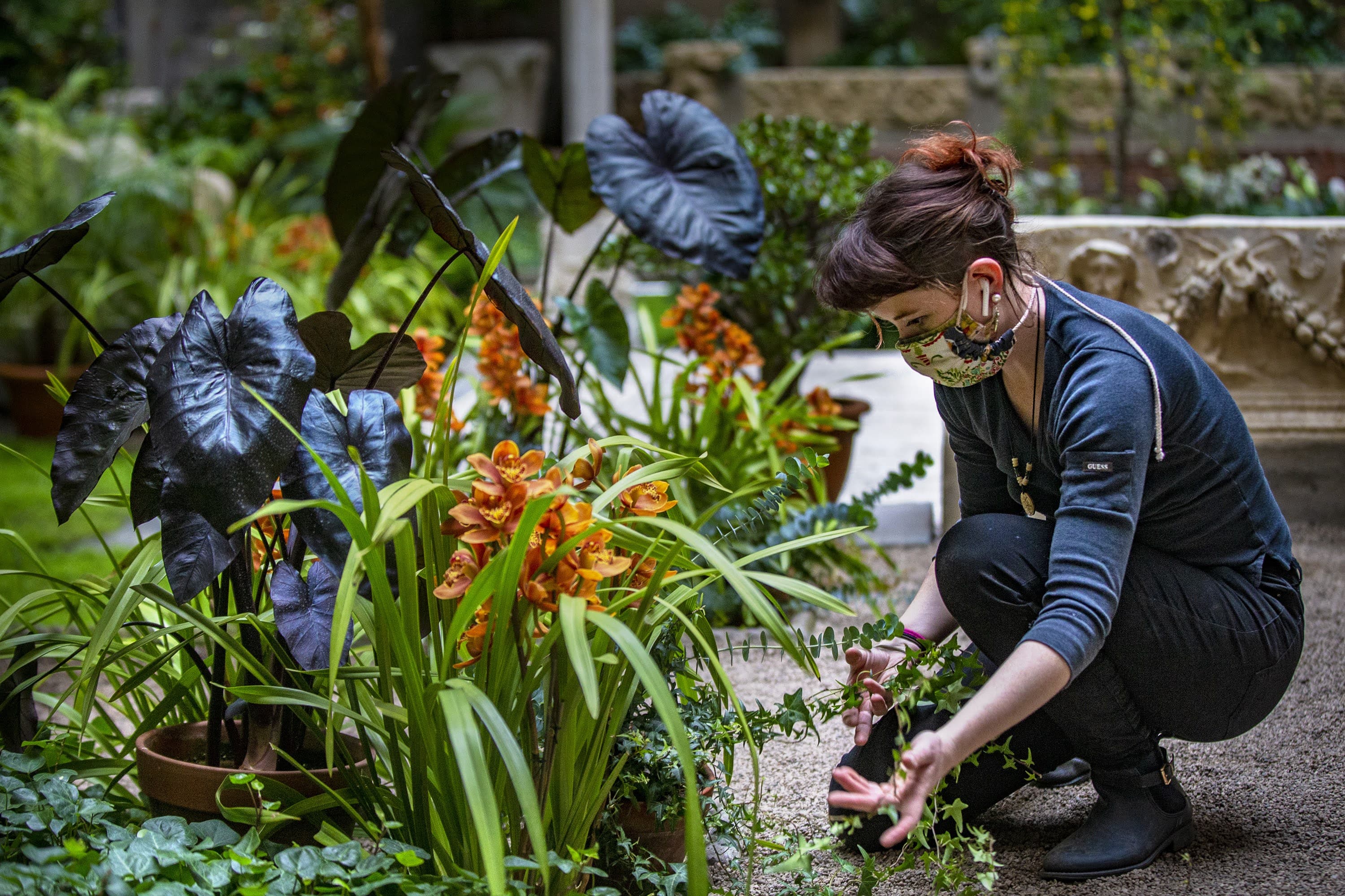 Sydney Mark arranges needlepoint ivy around the border of the walkway in the courtyard of the Isabella Stewart Gardner Museum. (Jesse Costa/WBUR)