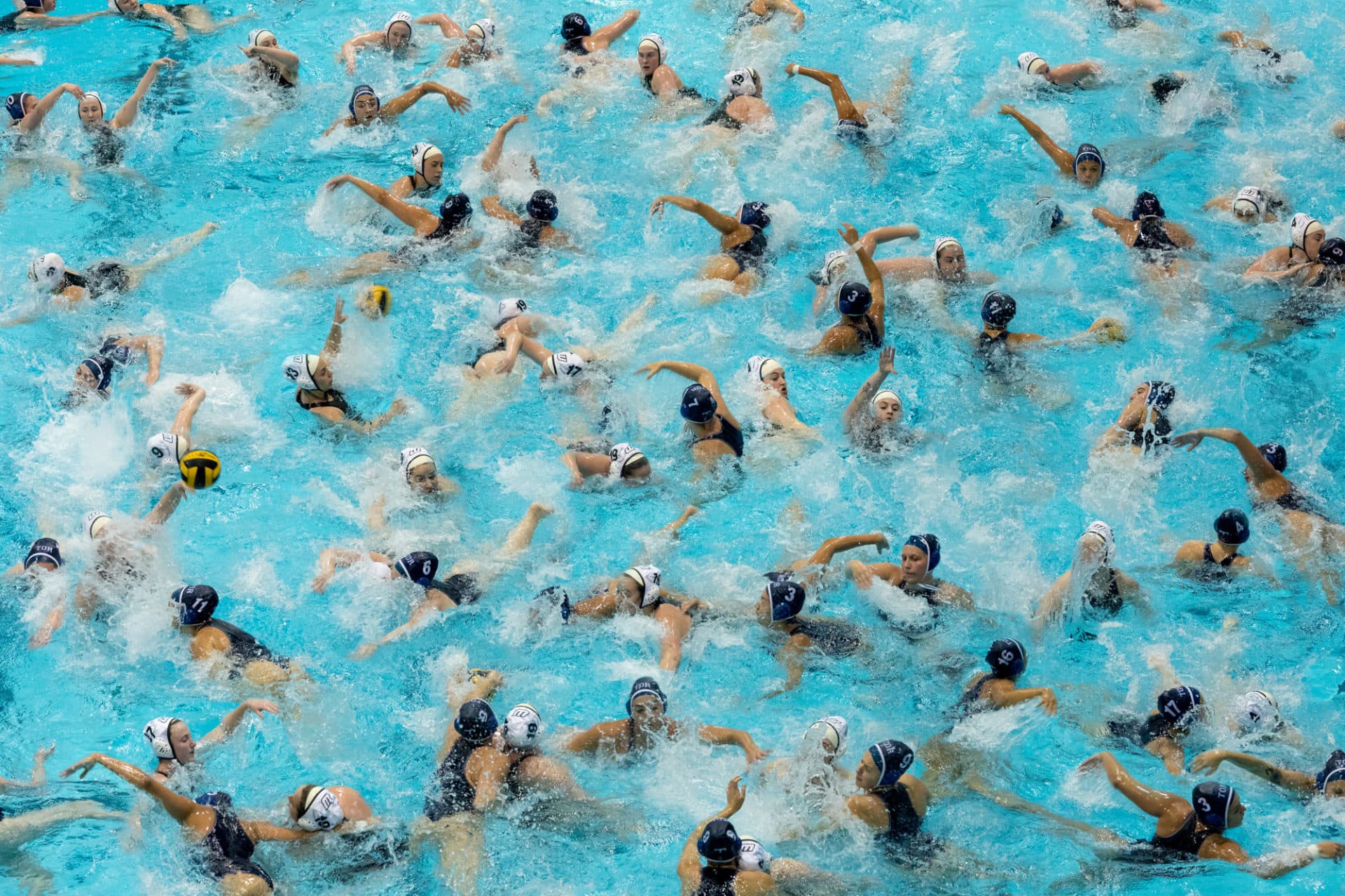 Pelle Cass, "Women's Water Polo at Harvard," 2018. (Courtesy of the artist)