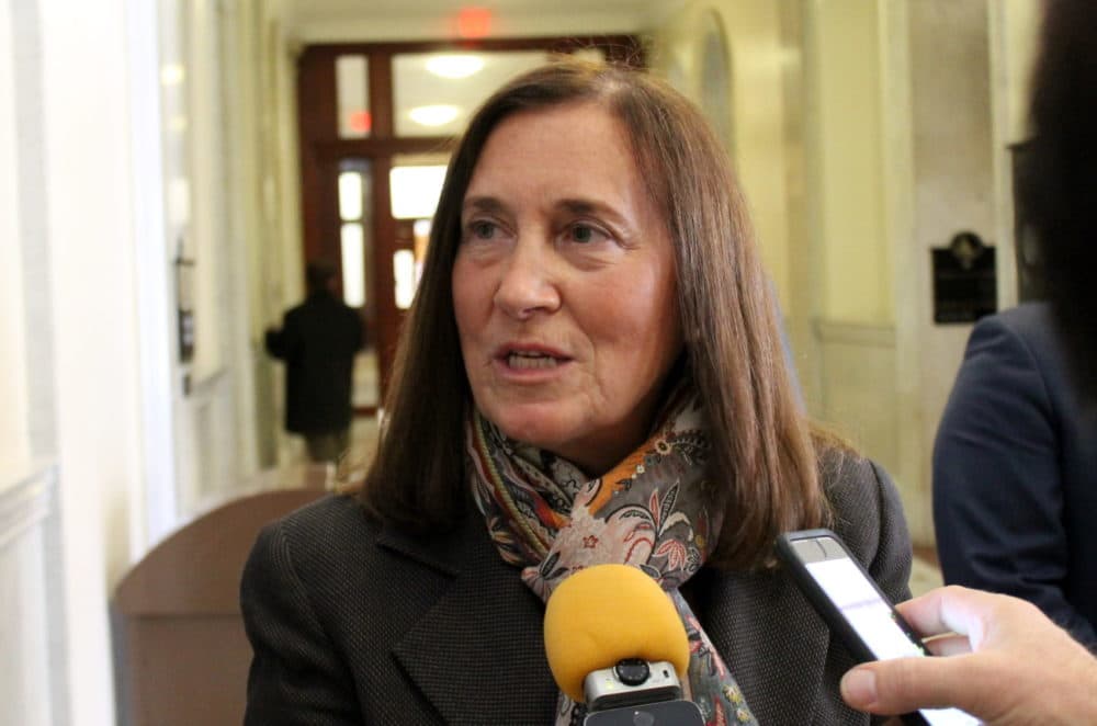Treasurer Deborah Goldberg in a file photo. (Sam Doran/SHNS)