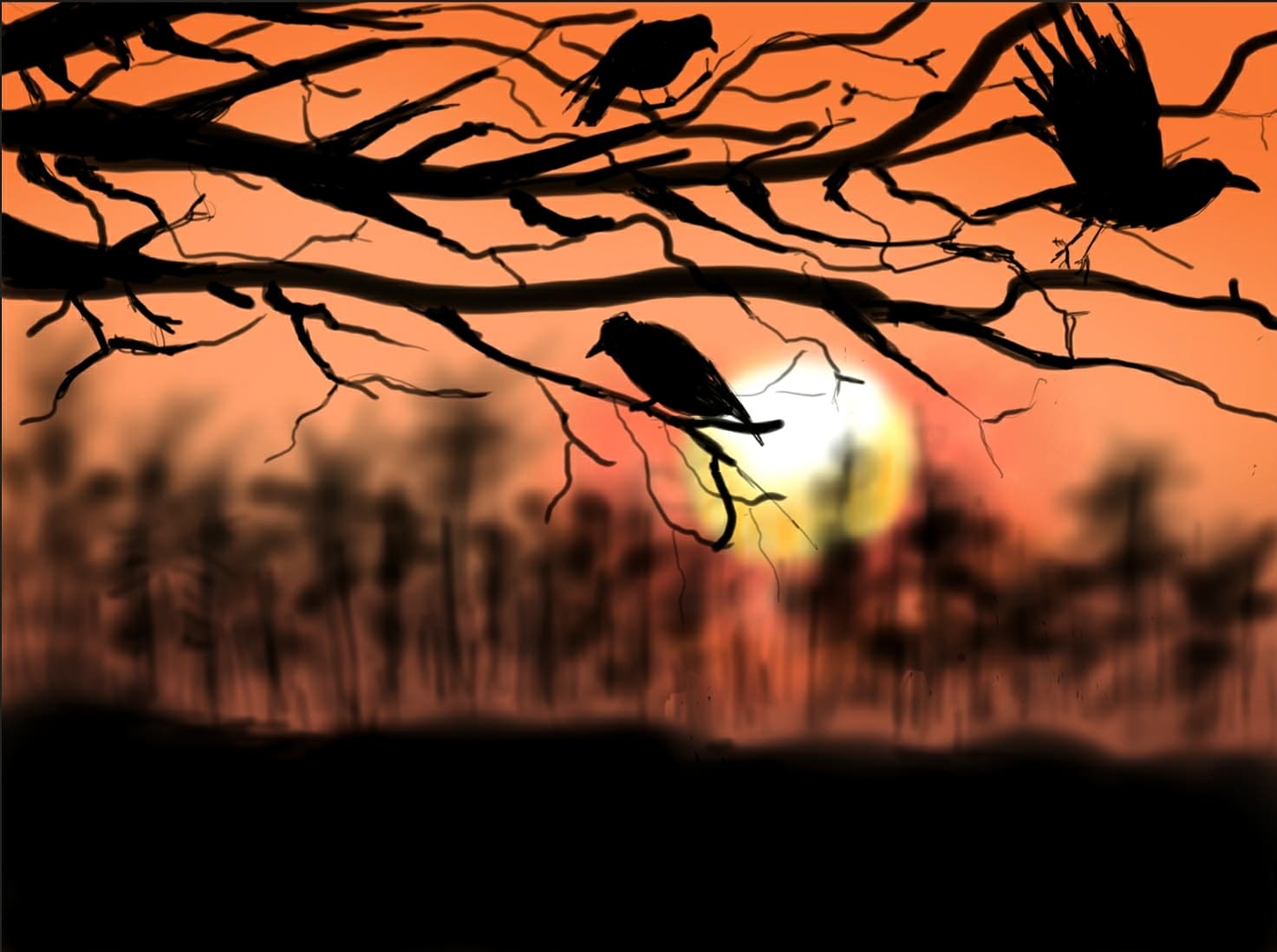 Snacktime: War and Crows