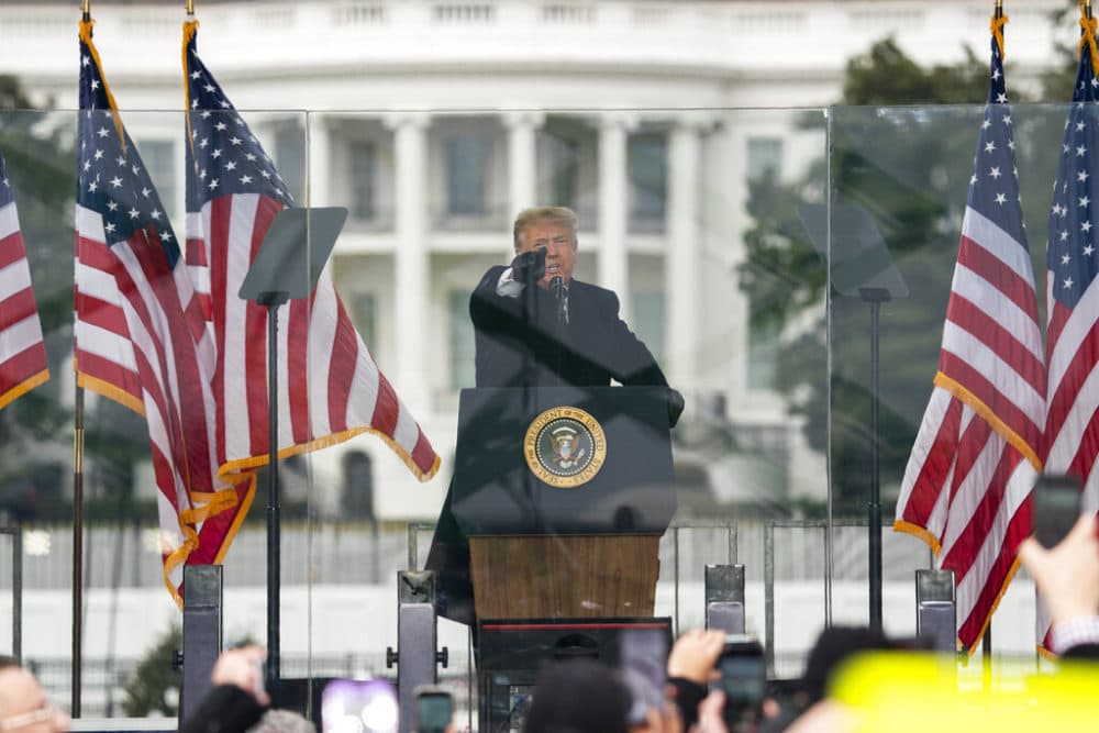 President Donald Trump speaks during a rally protesting the electoral college certification of Joe Biden in Washington.  (Evan Vucci, File/AP Photo)